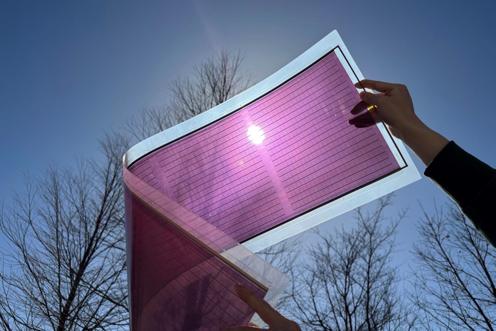 DIC、波長選択型有機太陽電池技術がNEDO事業に採択 | ニュース